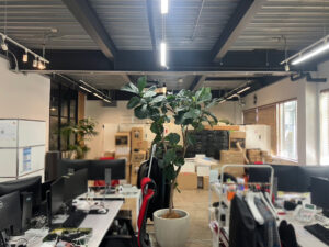 サイカルトラスト